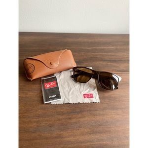 RayBan RB4181 Sunglasses